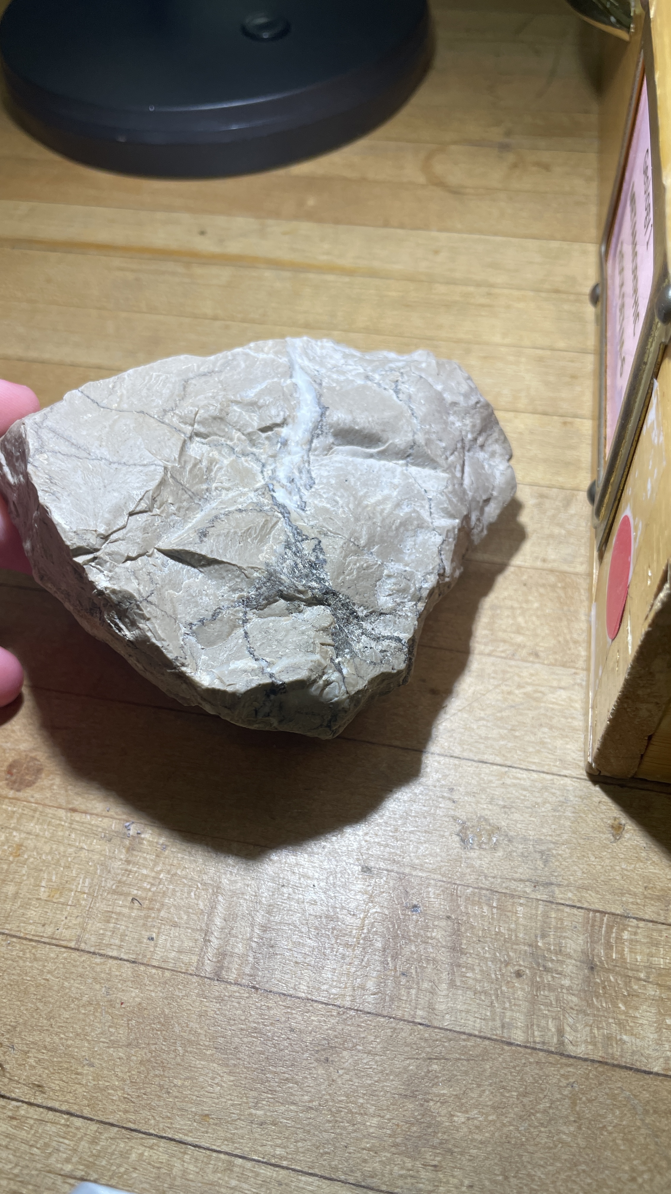 <p>Micrate</p>