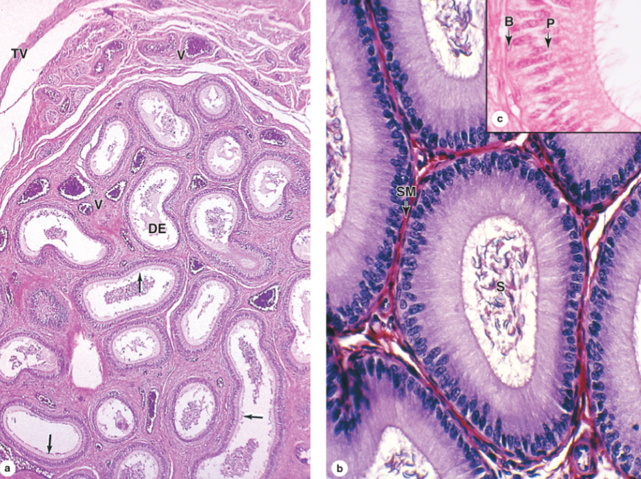 <p>What is this?</p>