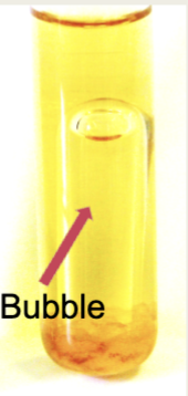 <p>A color change from green to yellow in a Durham Fermentation test means that the bacteria has fermented sugar. Is this a positive or negative result?</p>