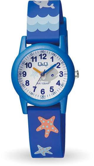 <p>a watch</p>