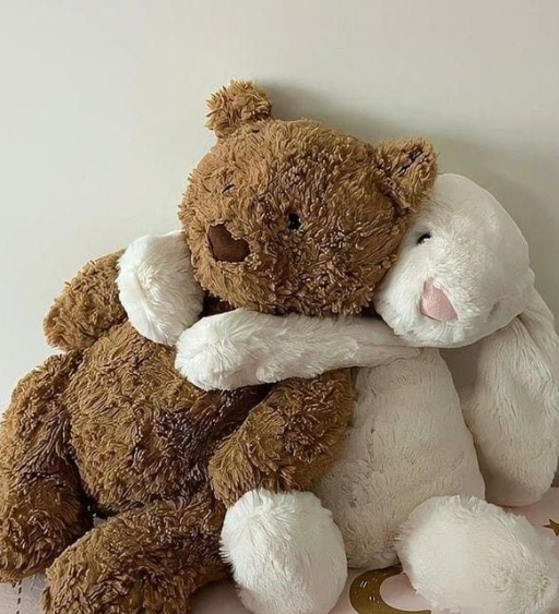 <p>Belonginess and love </p>