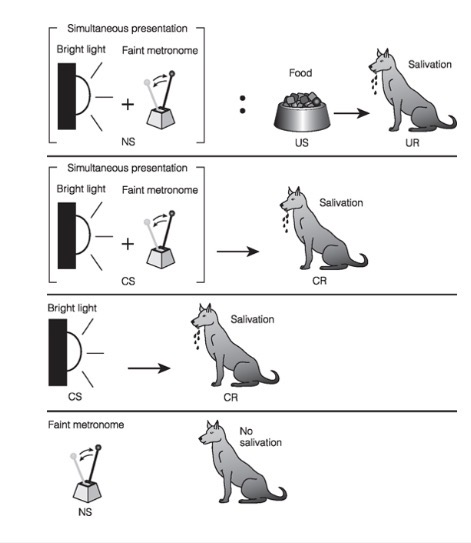 <p>interference with the conditioning of a stimulus because of the simultaneous presence of another stimulus that is easier to condition</p>