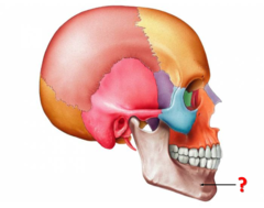 <p>Identify this bone.</p><p>(please note, the color scheme has changed for this view)</p>