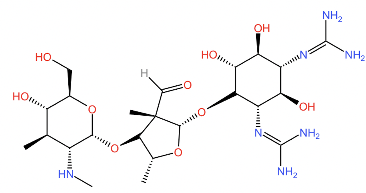 <p>streptomycin prevents correct binding of tRNA<sub>i</sub> in prokaryotes</p><p>due to streptomycin’s basic nature, conferred by many amino groups</p>