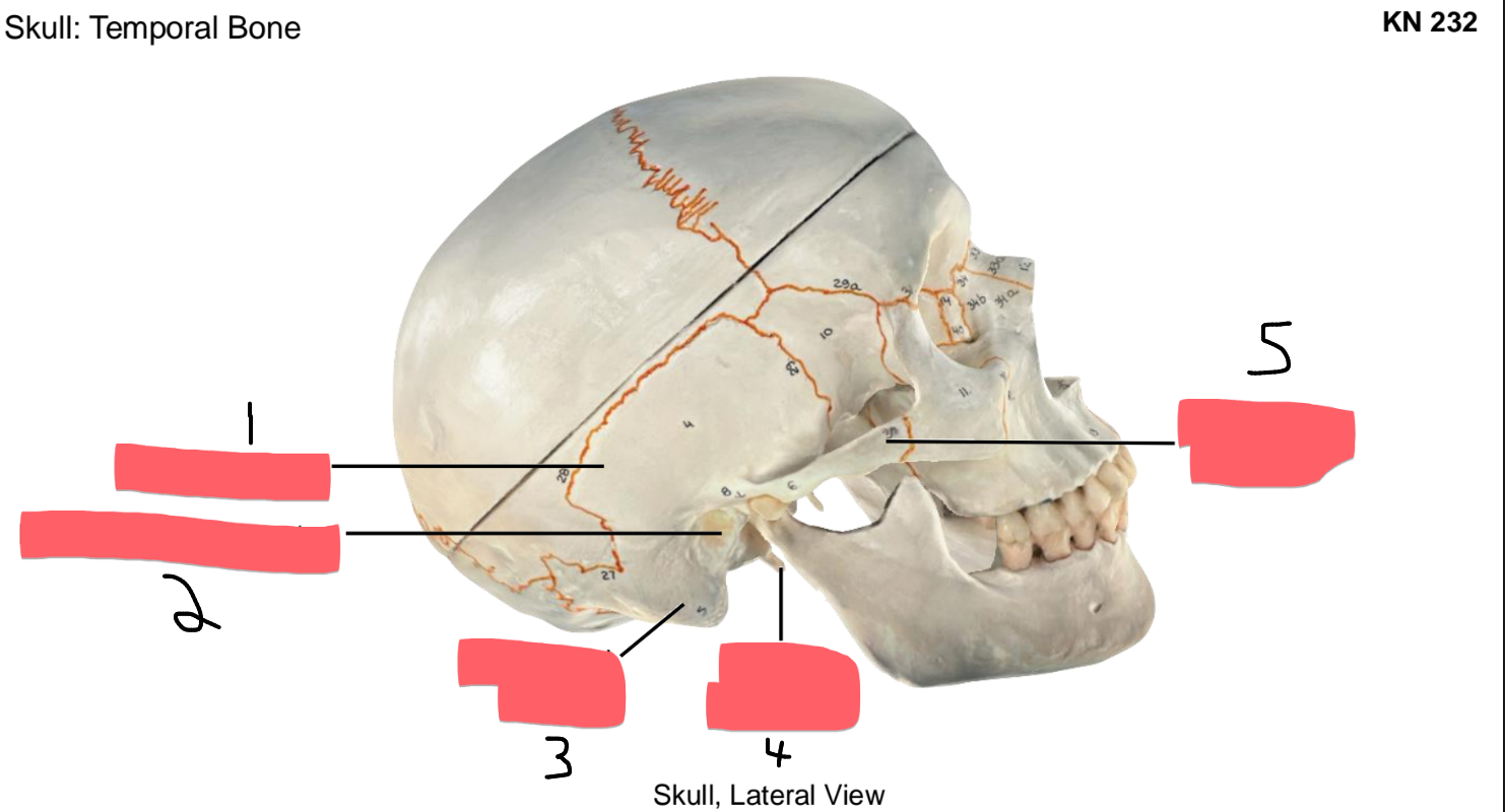 <p>4</p>