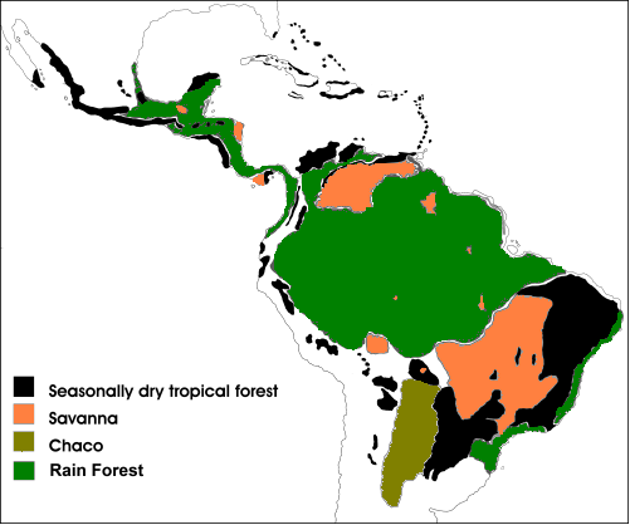 <p>Lowland tropical biomes in Latin America:</p>