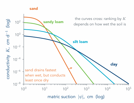 <p>water moves quicker through larger pores than smaller pores</p><p>suction applied → larger pores empty first → forces water to flow through smaller pores</p><p></p><p>shape of curve depends on pore distribution → sandy soils usually have larger pores than clayey soils therefore higher conductivity near saturation</p><p></p><p>curve is empirical → can’t be derived analytically</p>
