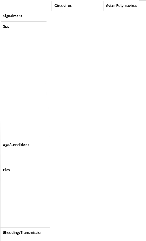 <p>Virus Skin Conditions - Circovirus vs Avian Polymavirus</p>