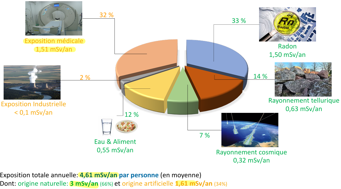 4,61 mSv/an en moyenne, dont 3 mSv/an (66%) d'origine naturelle et 1,61 mSv/an (34%) d'origine artificielle.