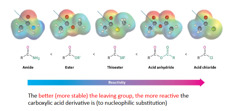<ol><li><p>Acid Halide: Most reactive</p></li><li><p>Acid Anhydride: Two acyl groups connected by oxygen</p></li><li><p>Ester</p></li><li><p>Amide</p></li><li><p>Thioester: Ester with S instead of O</p></li></ol><p><strong>Reactivity Order: </strong></p><p>ACID CHLORIDE > ANHYDRIDE > ESTER ≈ THIOESTER > AMIDE</p><p>Better leaving group = more reactive derivative</p>
