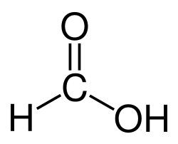 <p>acid metanoic</p>