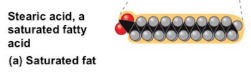 <ul><li><p><span style="background-color: transparent; font-family: "Times New Roman", serif;">have a max # of H atoms possible (no double bonds), don’t solidify&nbsp;</span></p></li></ul><p></p>