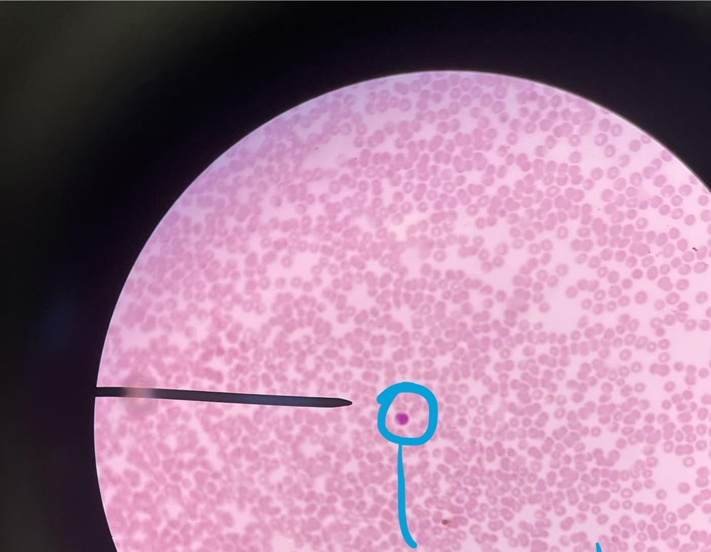 <p>What is this?</p>