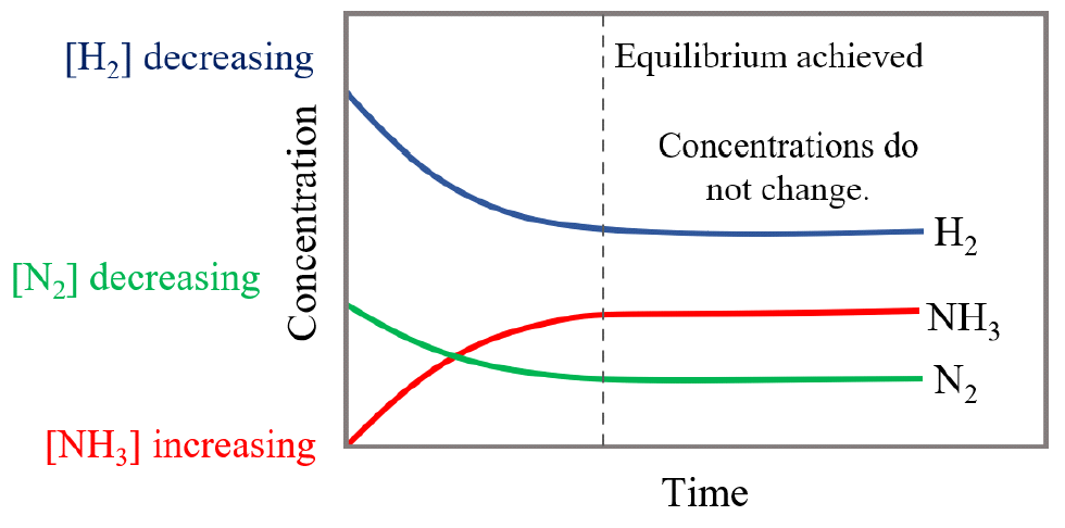 <p>Whatever is in abundance (e.g., reactants) will decrease in concentration, and whatever is in deficit (e.g., products) will increase in concentration. Reactants and products do not have to equilibrate at the same concentration. Change in concentration just has to asymptote to a slope of 0. </p>