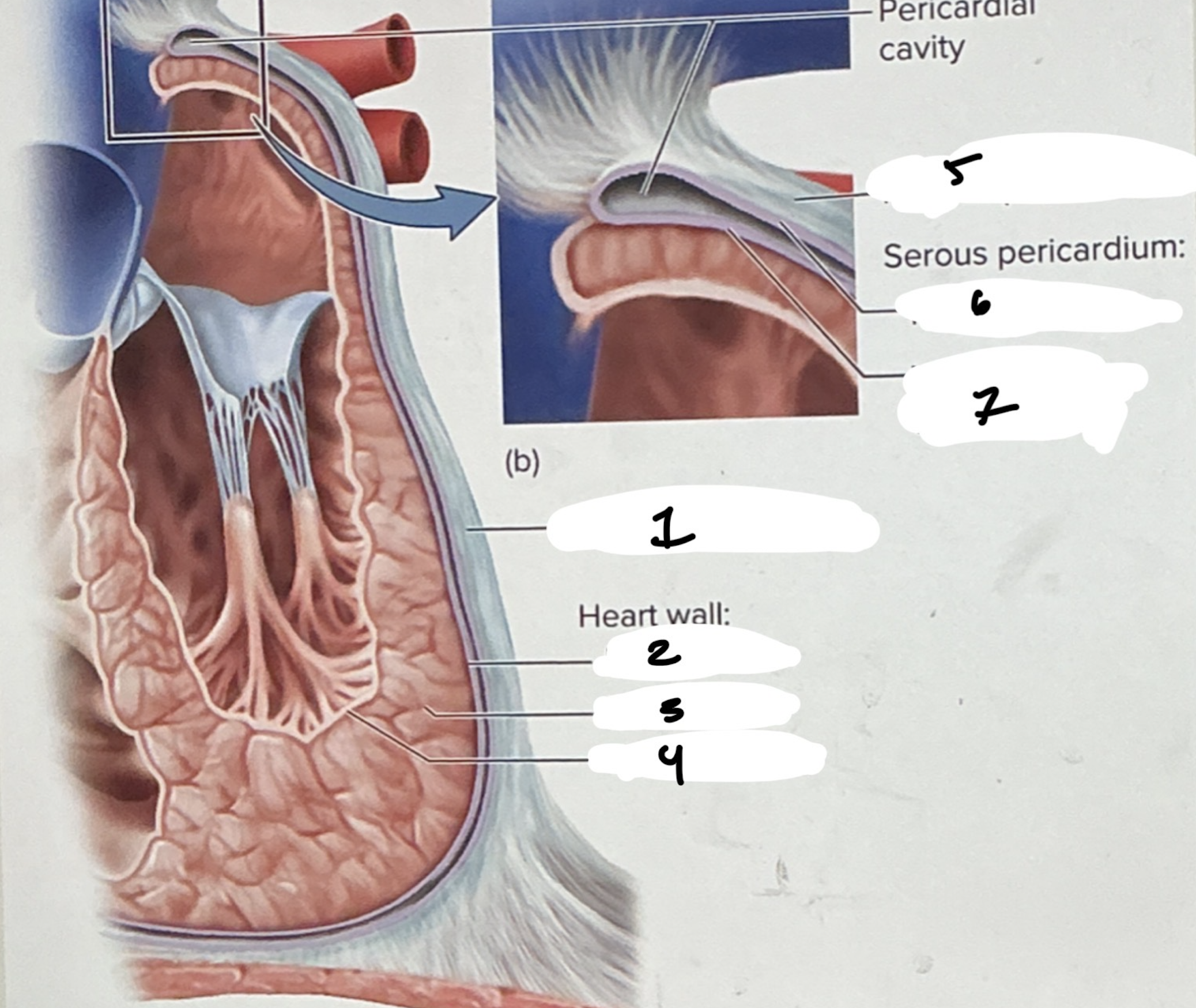 <p>1.XX</p><p>2.XX</p><p>3.XX</p><p>4.XX</p><p>5.XX</p><p>6.XX</p><p>7.XX</p>