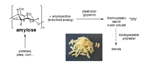 <p>= one of the main components of starch</p><ul><li><p>amylose</p><ul><li><p>linear polymer of glucose</p></li></ul></li><li><p>amylopectine</p><ul><li><p>brached amylose variant</p></li><li><p>not interesting for material chemistry which prefers linear polymers</p></li><li><p>these are more likely to entangled and these entanglements are the main cause for plastic polymer properties</p></li></ul></li></ul><p></p><p>the <strong>mixture </strong>is treated with a plasticizer (glycerol)</p><ul><li><p>glycerol inserts between starch chains and disrupts the H-bonds this makes it more <strong>processable </strong>and turns it into a thermoplastic starch (TPS) which is <strong>water soluble</strong></p></li><li><p>glycerol has high bp so will not evaporate upon mixing with amylopectine</p></li></ul><p>TPS can be blended with biodegradable polyesters to improve properites</p><ul><li><p>applications: biodegradable packaging (cheeto like packaging foam)</p></li></ul><p></p>