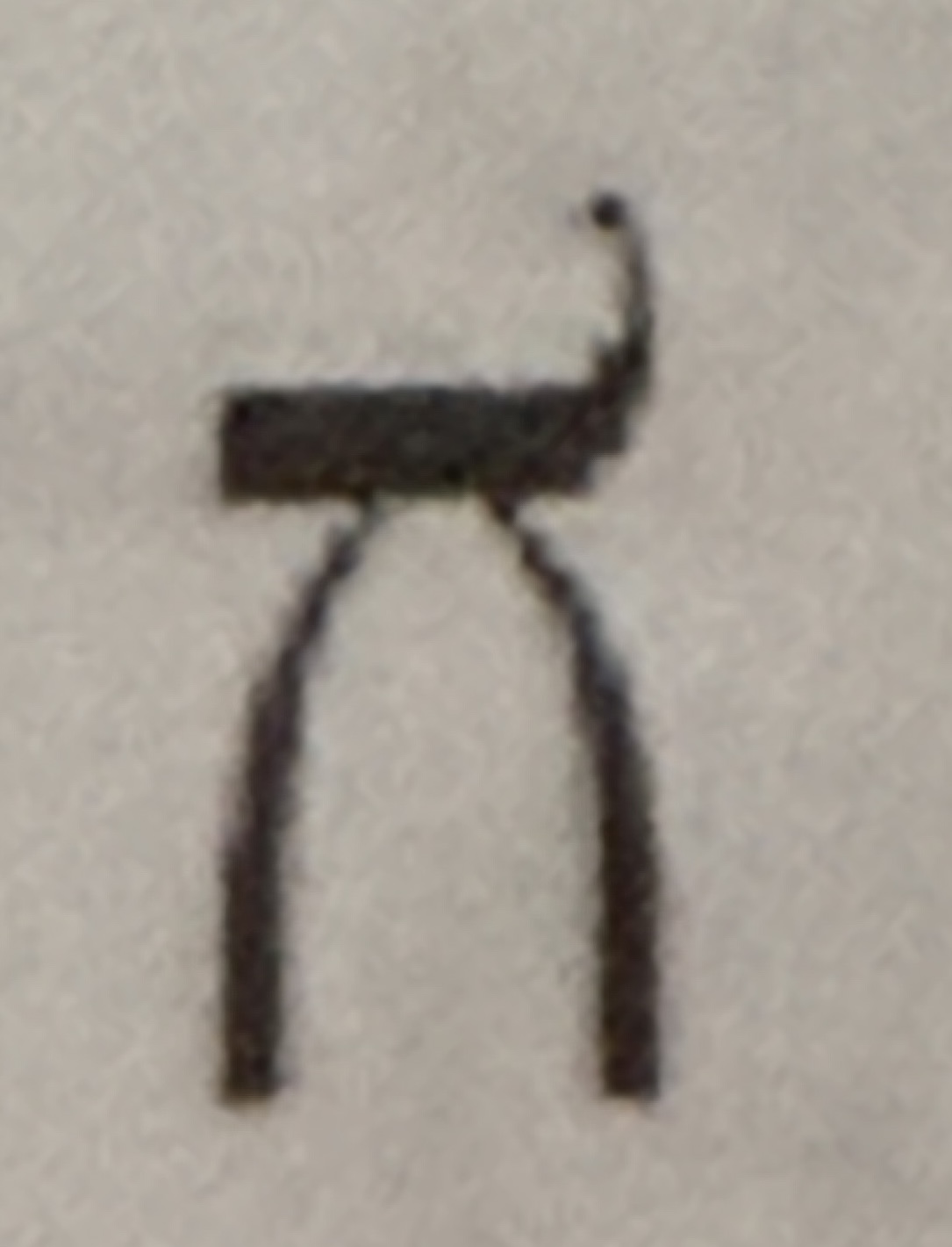 term image
