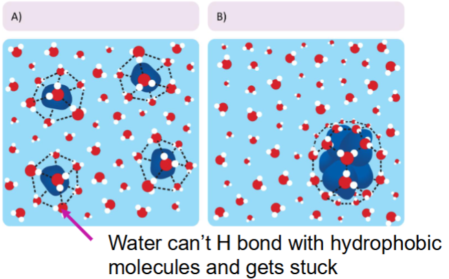 <p>According to the Gibbs Free energy ΔG=ΔH−TΔS (more negative G better favorability for rxn), free energy will be minimized if the tails cluster together.</p><ul><li><p>This allows greater motional freedom of water and a more negative G value.</p></li></ul><p><strong>Increased entropy of water = increased stability of the system</strong></p>