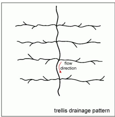 <p>Forms on inclined strata that are unequally resistant to erosion. Develops in areas with parallel fold mountains. Shorter tributaries join the main stream at RIGHT ANGLES. These streams often cut poorts/gaps through mountains.</p>
