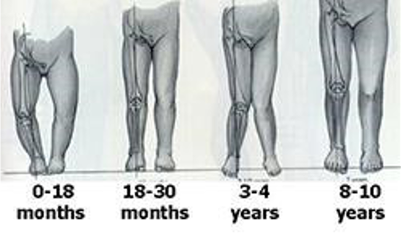 <p>valgus; neutral </p>