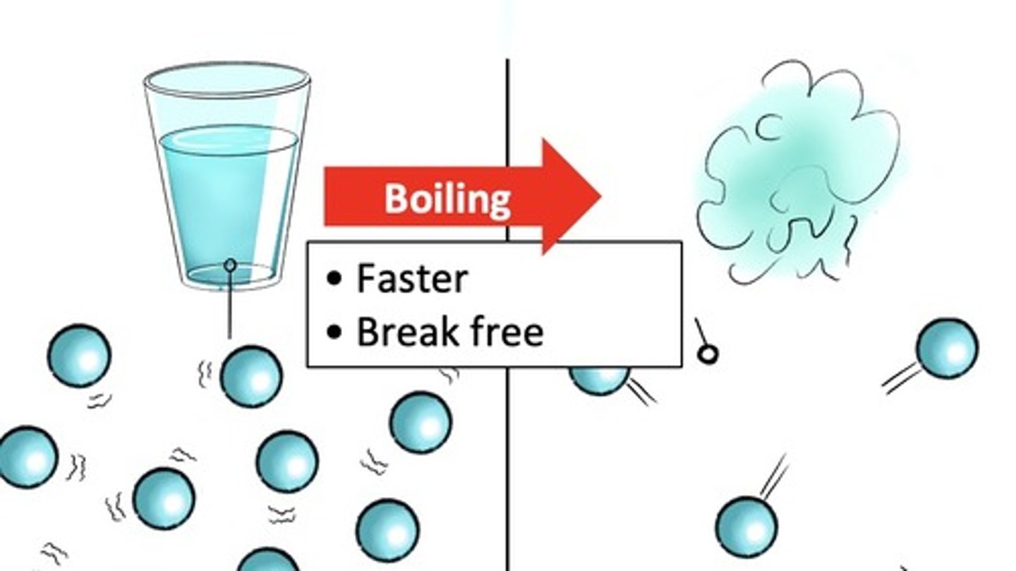 <p>During boiling, heat is absorbed. (Stuff gets hotter.) The particles move faster and kinetic energy goes up. The intermolecular attractions get weaker. (Because the particles move around more and more and start to come apart.)</p>