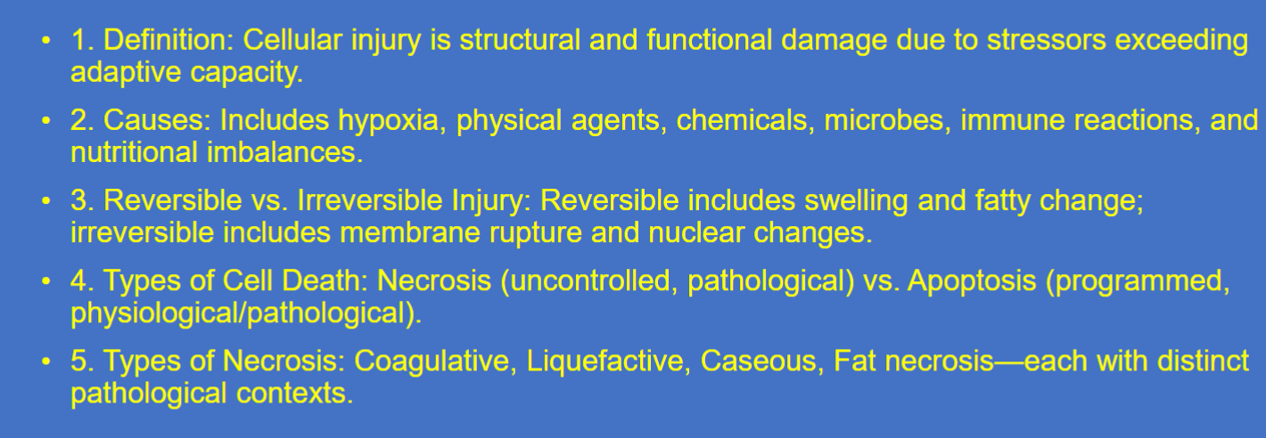 <p><span style="background-color: transparent; font-family: "Times New Roman", serif;"><strong>Reversible Injury (The "Sick" Phase):</strong> </span></p><ul><li><p><span style="background-color: transparent; font-family: "Times New Roman", serif;">In the early stages, the cell's function and structure are altered but correctable. </span></p></li><li><p><span style="background-color: transparent; font-family: "Times New Roman", serif;">The earliest morphological hallmark is <strong>cellular swelling (hydropic change)</strong>. </span></p></li><li><p><span style="background-color: transparent; font-family: "Times New Roman", serif;">This is caused by the failure of the energy-dependent <strong>Na⁺-K⁺-ATPase plasma membrane pump</strong>. Without ATP, sodium accumulates intracellularly, creating an osmotic gradient that drives water influx</span></p></li></ul><p></p>