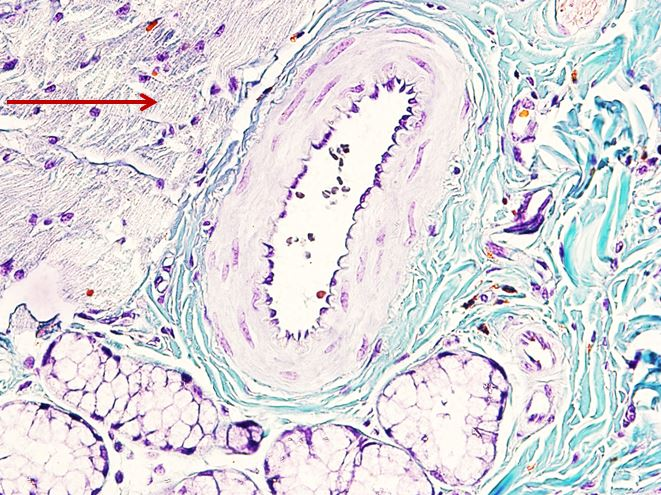 <p>Cấu trúc gì ?</p>