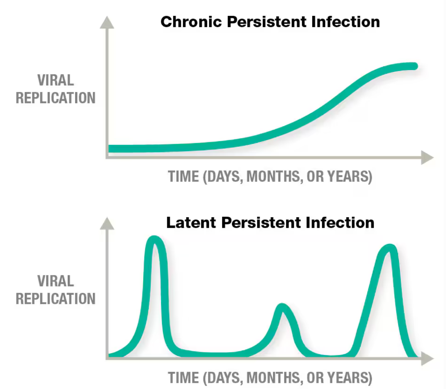 <p>Viruses have replication strategies that allow them to avoid immune system clearance</p><ul><li><p>Chronic (e.g. HIV)</p><ul><li><p>Continuous release of virions over time and slow progression of the disease</p></li></ul></li><li><p>Latent (E.g. Herpes and Cancer)</p><ul><li><p>Flare-ups w/intermittent periods of dormancy</p></li><li><p>During flare-ups, virions are shed, and the person experiences symptoms</p></li><li><p>Flare-ups can be triggered by stress (fever, sunburn, hormones)</p></li></ul></li></ul><p></p>