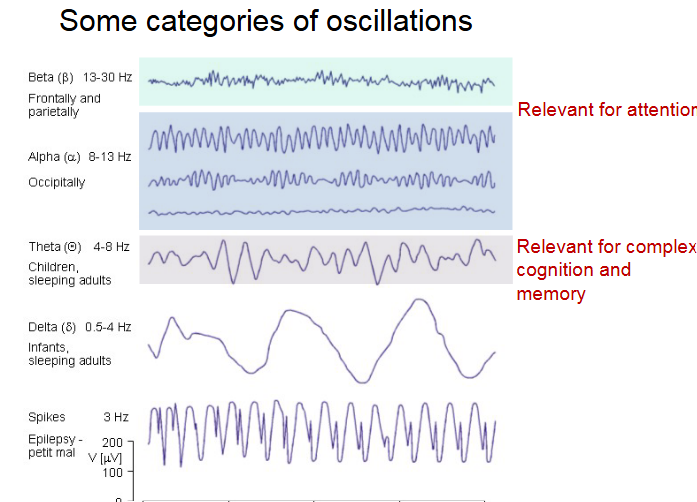 <p>KEEP WORKING LAD. EXAMS OVER SOON.</p>