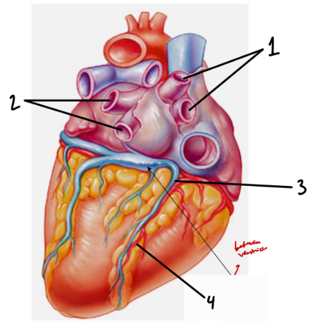 <p>3</p>