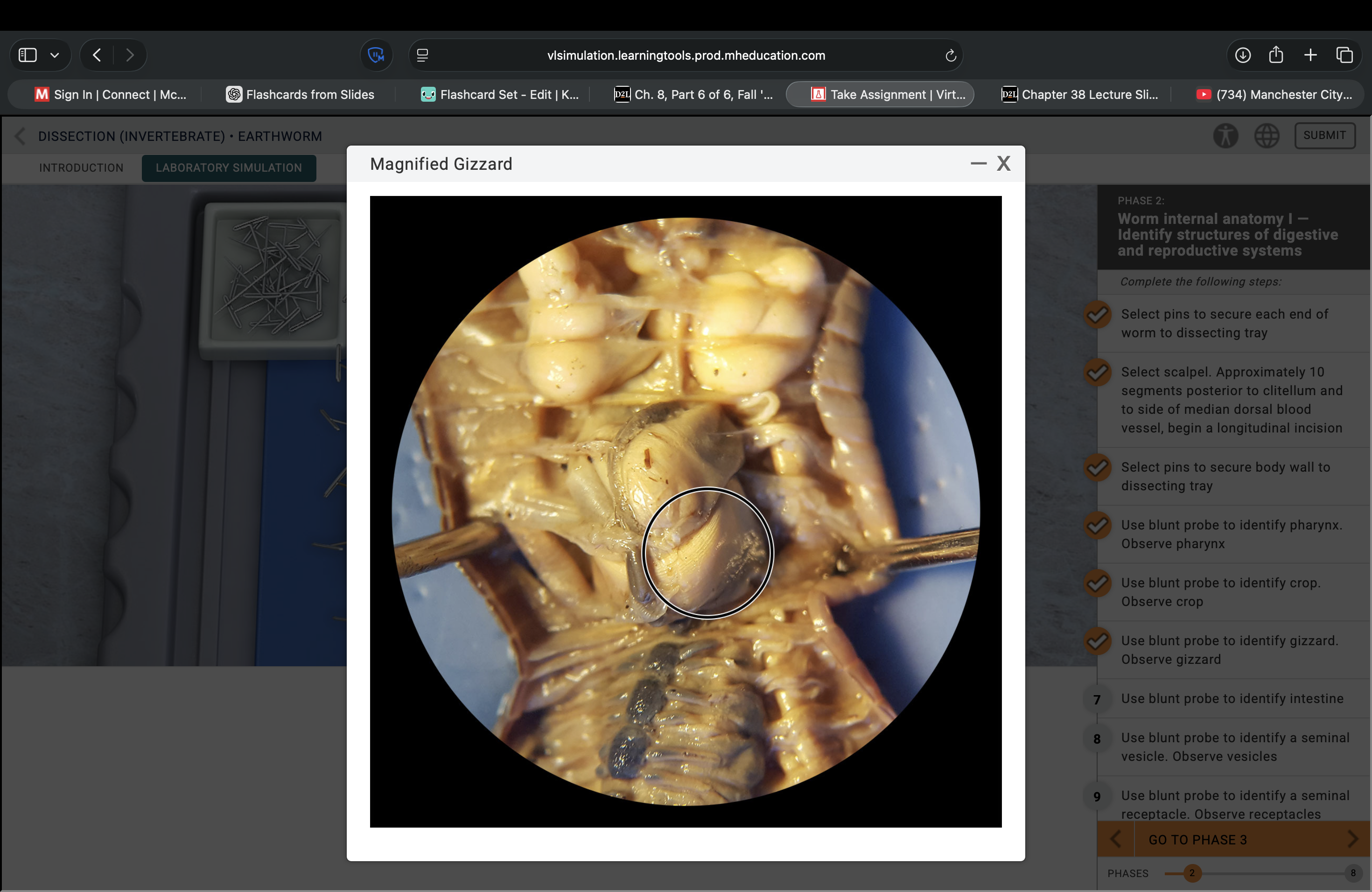 <p>What structure is this pointing to?</p>