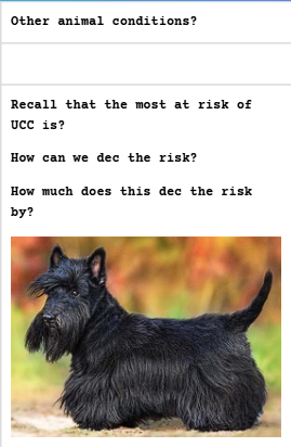<p><strong>Risk factors for UCC development</strong></p>
