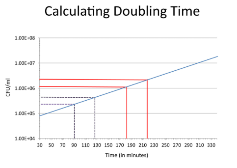 <ul><li><p>take two points on log graph (line of best fit) where CFU/ml doubles</p></li><li><p>subtract between the two times to calculate doubling time</p></li></ul><p></p>