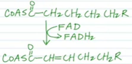 <p>Name the reaction and the FG transformation.</p>
