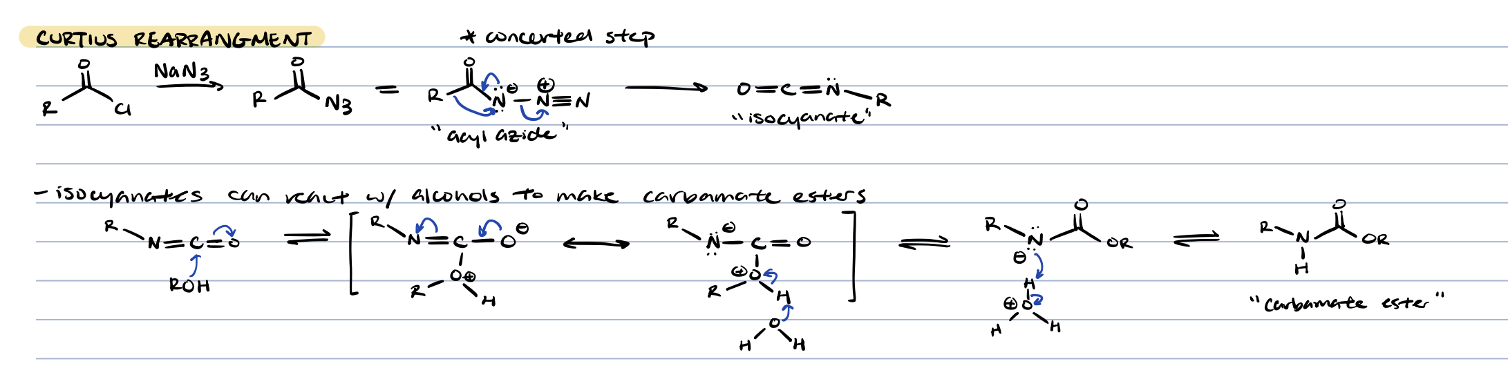 knowt flashcard image