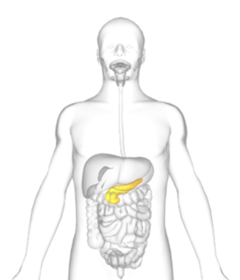 <p>what is highlighted</p>