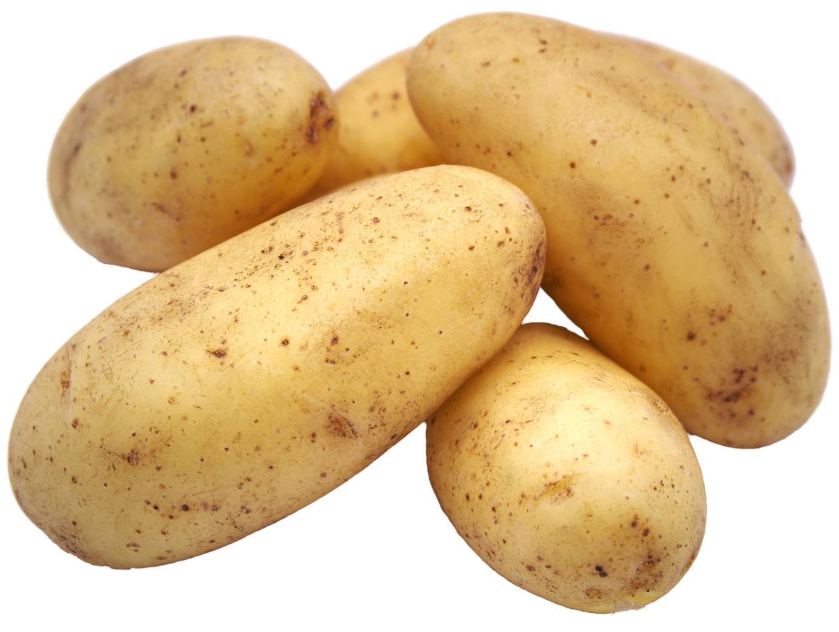 <p>potato</p>
