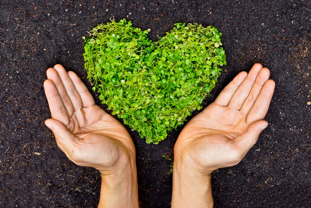 <p>eco-friendly (adj)</p>
