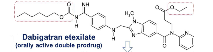 <ul><li><p>orally active doube prodrug due to e<strong>thyl ester and hexyloxycarbonyl carbamide side chains</strong></p></li></ul><p></p>