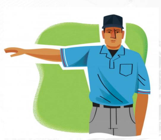 <p>baseball softball</p>