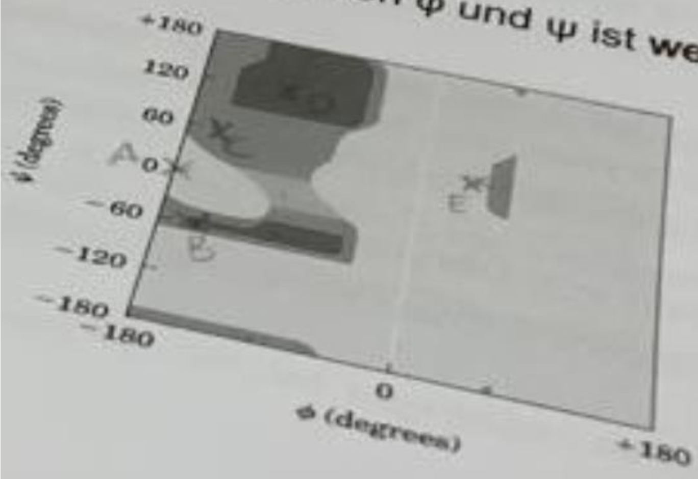 <p><strong>BioChem</strong></p><p class="p1">Welche Winkelkombination von φ und ψ ist weder in alpha-Helix noch beta-Faltblatt</p><p class="p1">Strukturen zu finden?</p><p class="p1">(A) φ = -180° ; ψ = 0°</p><p class="p1">(B) φ = -150° ; ψ = -60°</p><p class="p1">(C) φ = -150° ; ψ = 60°</p><p class="p1">(D) φ = -90° ; ψ = 120°</p><p class="p1">(E) φ = 60° ; ψ = 60°</p>