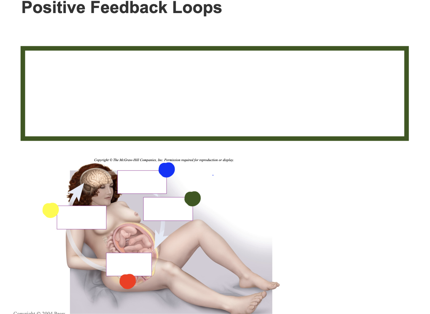 <p>What does the blue dot represent?</p>