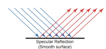 <p>Light that is reflected in the same direction from a smooth surface (like a mirror)</p>