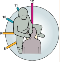 <p>8:00 to 12:00</p>