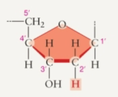 <p>What sugar is this?</p>