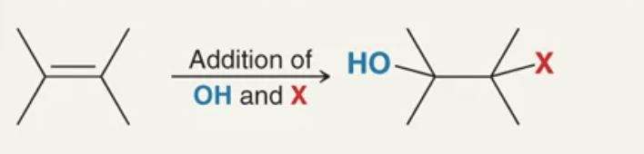<p>addition of OH and X</p>