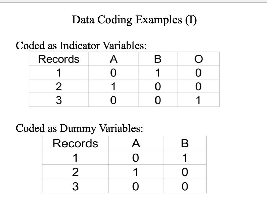 <p>data coding example</p>