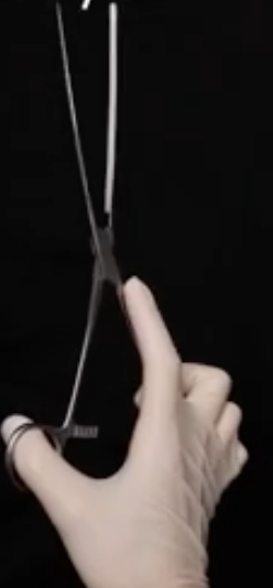 <p>What is this instrument</p>