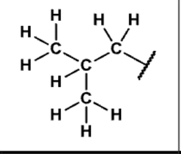 <p>Common side chains</p>