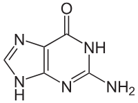 <p>name this structure</p>